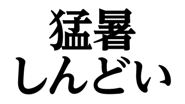 852404245