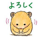 852404830