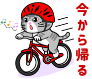 852405536