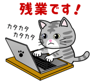 852405542
