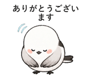 852405984