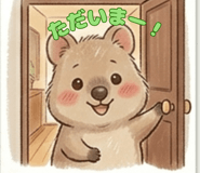 852406527