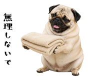 852407129