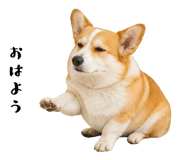 852407545