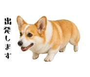 852407547