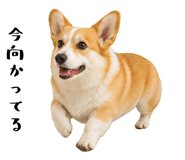 852407548