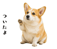 852407549