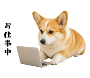 852407550