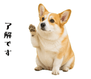 852407552