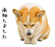 852407553