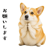 852407554