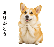 852407555