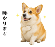 852407556