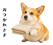 852407557