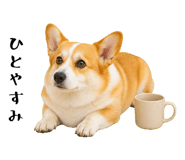 852407558
