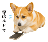 852407560