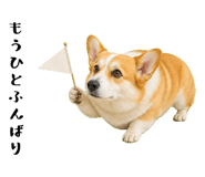 852407561