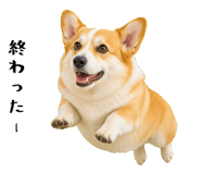 852407562