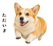852407564