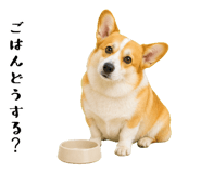 852407565