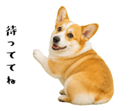 852407567
