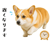 852407568