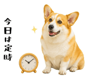 852407569