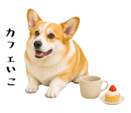 852407574