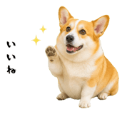 852407575