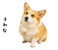 852407576