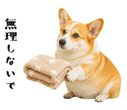 852407578