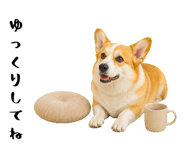 852407579
