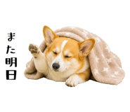 852407581