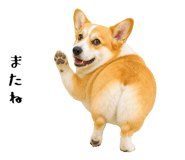 852407582