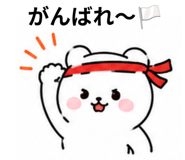 852409126