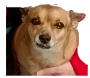 852416476