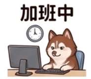 852417803