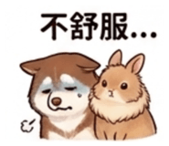 852417823