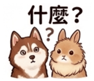 852417833