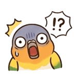 852420756