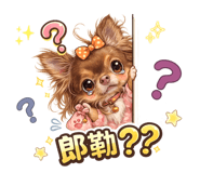852423462