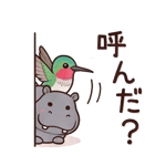 852423818