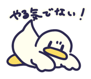 852424213