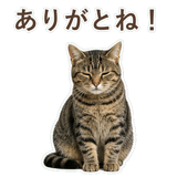 852424545