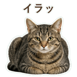 852424546