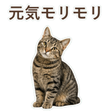 852424548