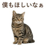 852424550