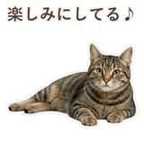 852424551