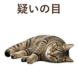 852424555