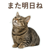 852424556